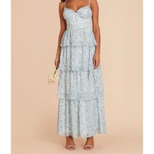 Birdy Grey Chiffon Blue Dream Ditsy Lola Dress XS